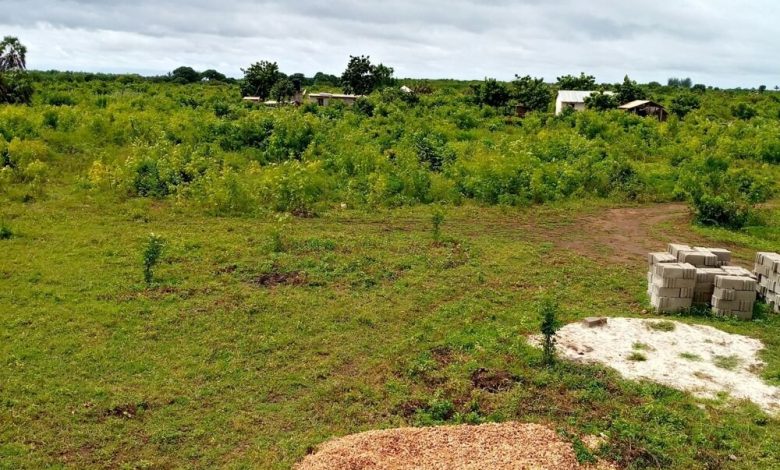 stats-img 2afc685c79d963dd1d77b1feb7af074c 780x470 1